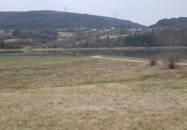 Tour Wandern Samognat - Grand tour du lac de Samoniat - Photo