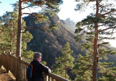 Trail Walking La Chapelle-du-Mont-du-Chat - MONT DU CHAT: LES BELVEDERES - Photo