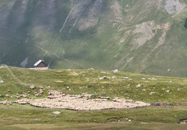 Tocht Stappen Saint-Dalmas-le-Selvage - rando vallon salso moreno 6-07-2022 - Photo