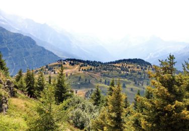 Tocht Stappen Saint-Gervais-les-Bains - Le Prarion - Photo