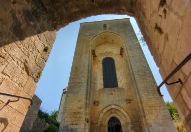 Trail Mountain bike La Chapelle-Aubareil - montignac 230617 - Photo