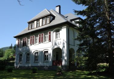 Percorso A piedi Oybin - LG-Grüner Strich: Oybin - Jonsdorf - Photo