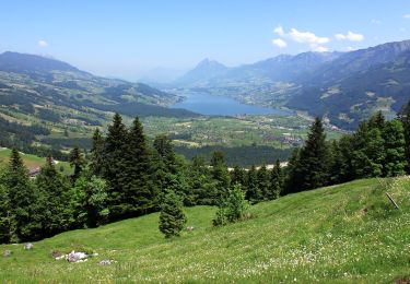 Tocht Te voet Giswil - Bärgmandlipfad Giswil - Photo