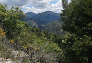 Trail Walking Sainte-Jalle - le linceuil - Photo