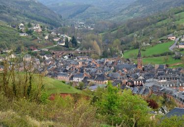 Tocht Te voet Marcillac-Vallon - De la Vigne à la Forêt - Photo