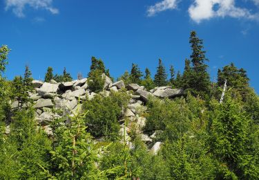 Trail On foot Wernigerode - Wegenetz Ilsenburg - Brocken mit rotem Balken - Photo