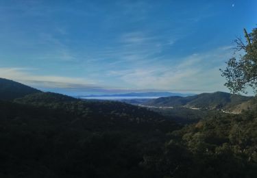 Tour Wandern Fréjus - malpasset, l'Avellan - Photo