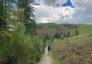 Tour Wandern Lierneux - Odrimont-Vielsalm - Photo