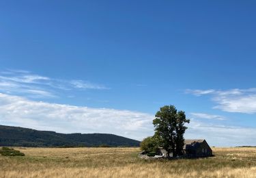 Trail Mountain bike Saint-Paul-le-Froid - AUTOUR DES BISONS - Photo