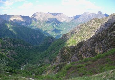 Trail On foot Trontano - P40 - Alpe in La Piana - Alpe della Colma - Photo