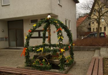 Tocht Te voet Spiegelberg - Rundwanderweg S1 - Photo