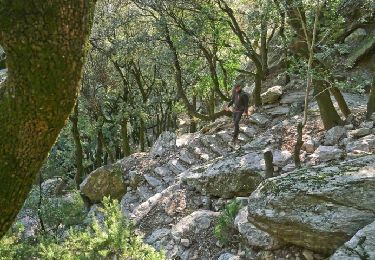 Tocht Stappen Mons - Caroux Fontsalesse - Photo