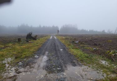 Tocht Stappen Houffalize - Pisserotte 151224 - Photo