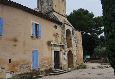 Trail Walking Beaumes-de-Venise - Au dessus de Beaumes de Venise - Photo