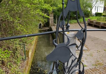 Tocht Stappen Eijsden-Margraten - Mheer - Photo