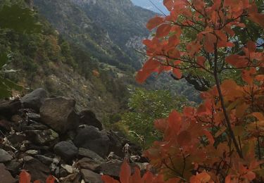 Trail Walking Le Lauzet-Ubaye - Le tour des cascades a - Photo