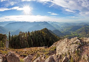 Tocht Te voet Reichraming - Wanderweg 25 - Photo