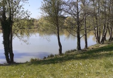 Tour Wandern Peyrins - Peyrins - Photo