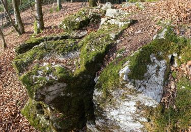 Percorso A piedi Heidenheim - Rundwanderweg 20 - Photo