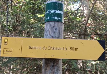 Trail Walking Ubaye-Serre-Ponçon - S VINCENT LES FORTS . LES BATTERIES.  O L S  - Photo