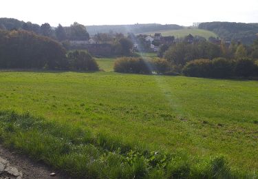 Randonnée Marche Namur - La Plante - Photo