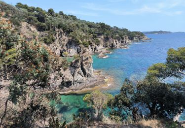 Randonnée Marche Hyères - la madrague port du niel - Photo