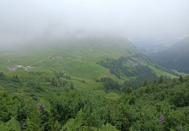 Tocht Stappen Le Grand-Bornand - gramusset - Photo