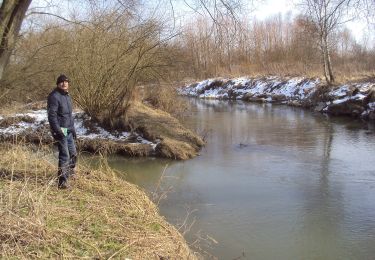 Percorso A piedi Česká Lípa - NS NPP Peklo - Photo