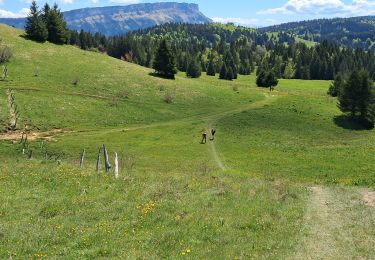 Trail Walking Montcel - REVARD: CROLLES - EBATS - MERMET - COCHETTE - PLATE - CREUSATES - Photo