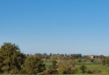 Tour Mountainbike Saint-Fargeol - Le moulin rouge - Photo