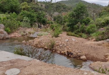 Trail Walking Saint-Raphaël - a voir - Photo