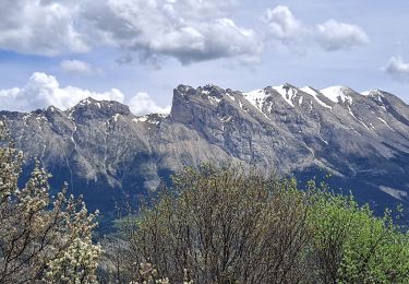 Tour Wandern Le Dévoluy - Pierre Baudinard - Photo