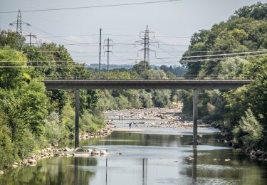 Tour Zu Fuß Bussnang - Bussnang - Wetzikon - Photo