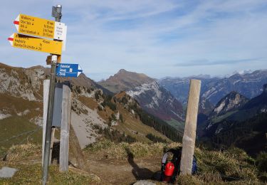 Tour Zu Fuß Isenthal - Sankt Jakob - Sinsgäuer Schonegg - Photo