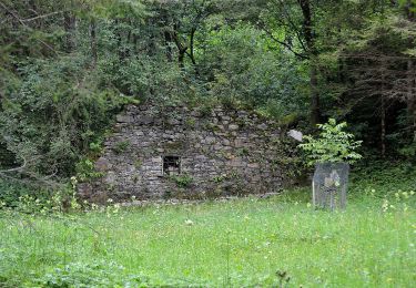 Tour Zu Fuß Fladnitz an der Teichalm - Wanderweg 7 - Photo