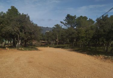 Tour Wandern Sainte-Anastasie-sur-Issole - Ste Anastasie plateau de Thèmes - Photo