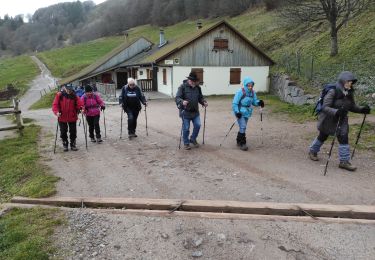 Trail Walking Wasserbourg - Boenlesgrab P Ballon  - Photo