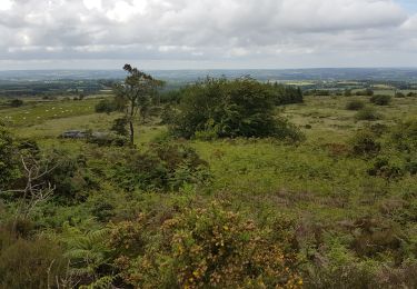 Tour Wandern Saint-Eloy - Roch an daol - Photo