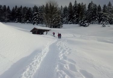 Excursión Raquetas de nieve Cornimont - Raquettes   LE BRABANT - Photo