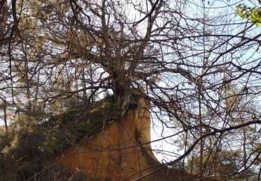 Trail Walking Rustrel - colorado - Photo