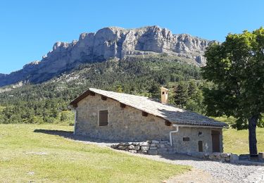 Trail Walking Le Castellard-Mélan - AUTHON Fontbelle,  piste forestière du Pras au pied de Gueruen,  col d Ainac AR o l s - Photo