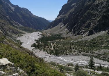 Tocht Stappen Vallouise-Pelvoux - Le Glacier Blanc - Pré Madame Carle - Photo