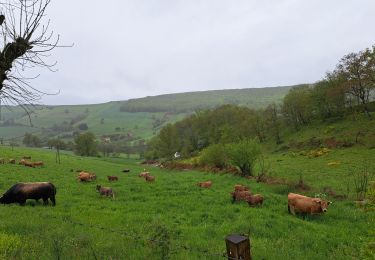 Randonnée Marche Saint-Chély-d'Aubrac - Mon chemin de St Guilhem étape 3 - Photo