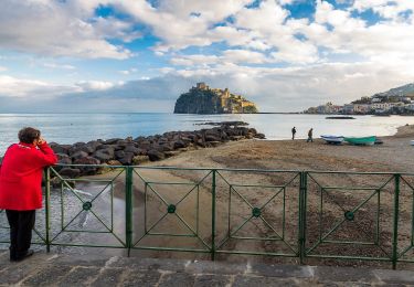 Randonnée A pied Ischia - IT-503 - Photo