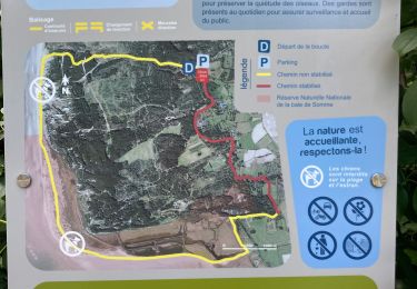 Trail Walking Saint-Quentin-en-Tourmont - Les Crocs - Photo