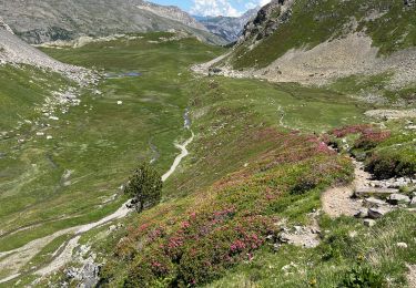 Randonnée sport Névache - Chardonnet aiguille du Lauzet  - Photo