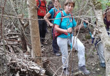 Tour Wandern Saint-Marc-Jaumegarde - Tour de Bimont 10-10-2021 - Photo