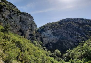 Tocht Stappen Moustiers-Sainte-Marie - la bergerie de marignol.  - Photo