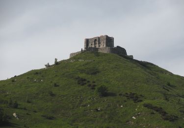 Excursión A pie Génova - sentiero dei cani - Photo