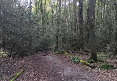 Trail Walking Genk - kettevennen genk - Photo